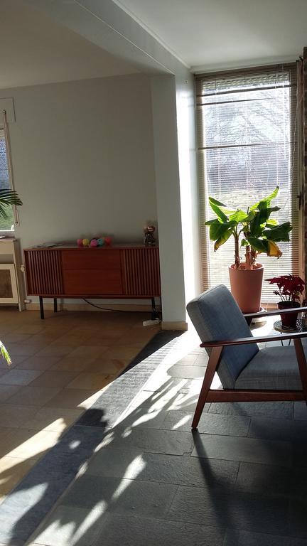Maison Vintage Ardenne Awenne Extérieur photo